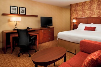 Room, 1 King Bed with Sofa bed