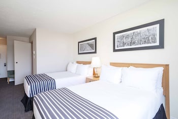 Standard Suite, 2 Double Beds, Kitchenette