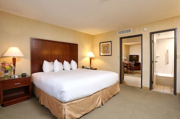 Deluxe Suite, 1 King Bed
