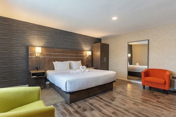Standard Room, 1 King Bed, Non Smoking, Annex Building (1st Floor;Pet Friendly)