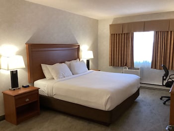 Standard Room, 1 King Bed, Non Smoking