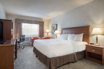 Standard Room, 1 King Bed, Non Smoking