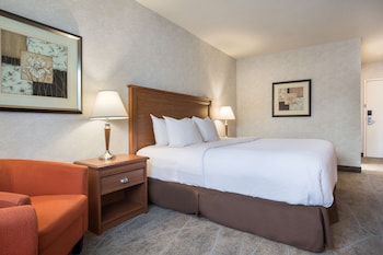 Standard Room, 1 King Bed, Non Smoking