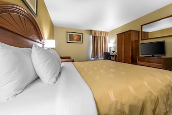 Standard Room, 1 King Bed with Sofa bed, Non Smoking
