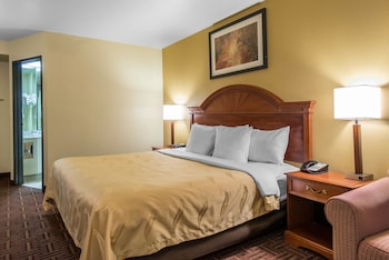 Standard Room, 1 King Bed with Sofa bed, Non Smoking