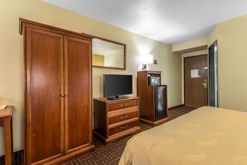 Standard Room, 1 King Bed with Sofa bed, Non Smoking