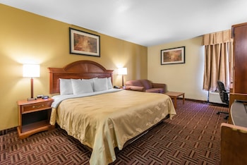 Standard Room, 1 King Bed with Sofa bed, Non Smoking