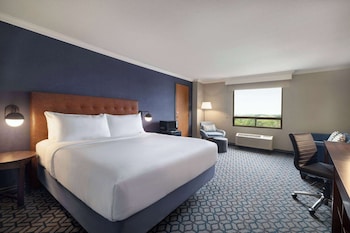 Room, 1 King Bed, Non Smoking, City View
