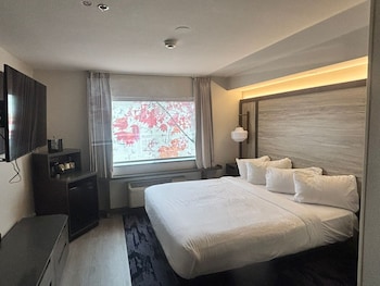 Room, 1 King Bed (Mobility/Hearing Accessible, Tub)