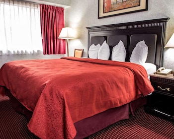 Presidential Suite, 1 King Bed with Sofa bed, Non Smoking