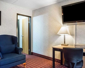 Presidential Suite, 1 King Bed with Sofa bed, Non Smoking