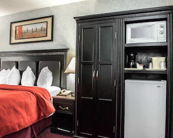 Room, 1 King Bed, Accessible, Smoking