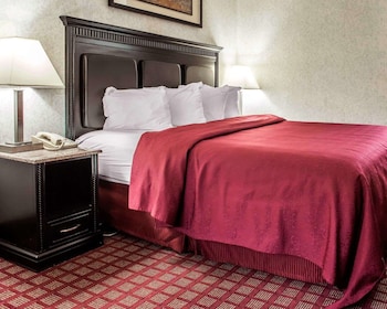 Presidential Suite, 1 King Bed with Sofa bed, Non Smoking