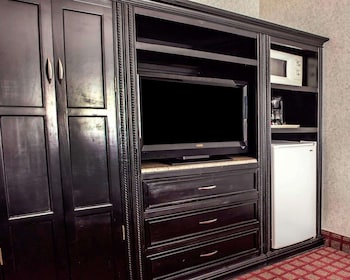 Presidential Suite, 1 King Bed with Sofa bed, Non Smoking
