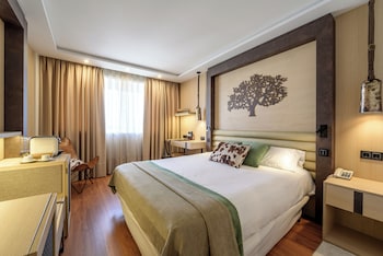 Deluxe Double Room for Single Use