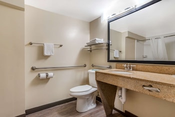 Standard Room, 1 King Bed, Accessible, Refrigerator & Microwave