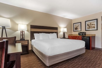 Standard Room, 1 King Bed, Accessible, Refrigerator & Microwave