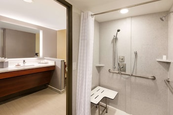 Premium Room, 1 King Bed, Accessible (Mobility & Hearing, Roll-in Shower)