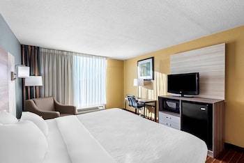 Room, 1 King Bed, Accessible, Non Smoking