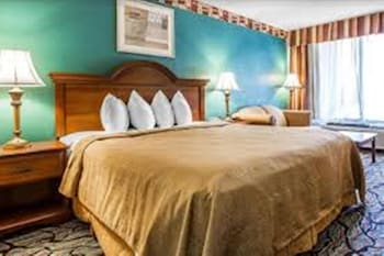 Room, 1 King Bed, Non Smoking