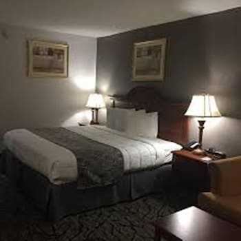 Room, 1 King Bed, Non Smoking (Pet Friendly)
