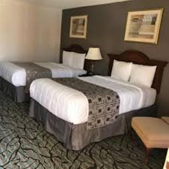 Room, 2 Double Beds, Non Smoking (Pet Friendly)
