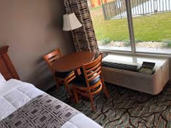 Room, 1 King Bed, Non Smoking (Pet Friendly)