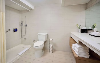 Room, 1 King Bed, Accessible, Non Smoking