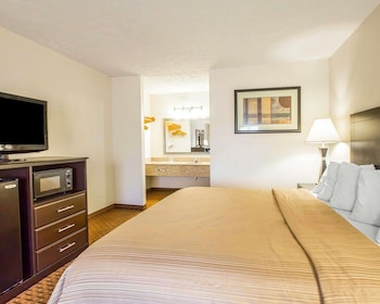 Standard Room, 1 King Bed, Non Smoking