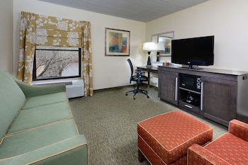 Suite, 1 King Bed with Sofa bed, Non Smoking
