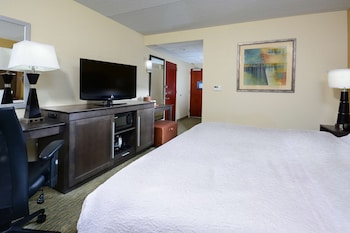 Room, 1 King Bed, Accessible, Non Smoking (Roll-In Shower)