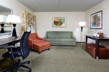 Room, 1 King Bed with Sofa bed, Hearing Accessible, Non Smoking