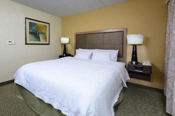 Room, 1 King Bed, Accessible, Non Smoking (Roll-In Shower)
