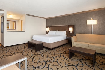 Suite, 1 King Bed with Sofa bed