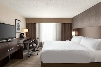 Standard Room, 1 King Bed with Sofa bed