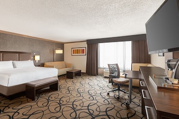 Suite, 1 King Bed with Sofa bed
