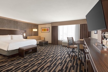 Suite, 1 King Bed with Sofa bed