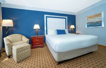 Room, 1 King Bed