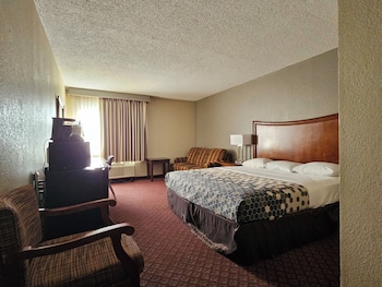 Room, 1 King Bed