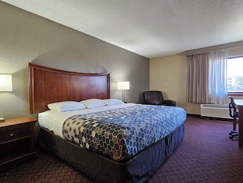 Room, 1 King Bed, Roll-in Shower