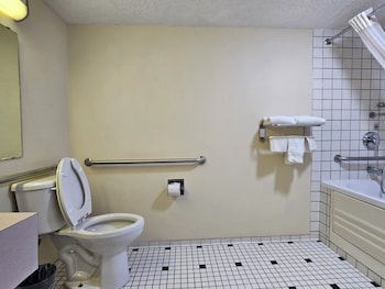 Room, 1 King Bed, Roll-in Shower