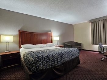 Room, 1 King Bed, Roll-in Shower
