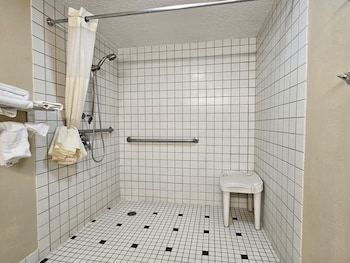 Room, 1 King Bed, Roll-in Shower