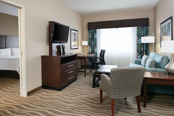 Suite, 1 King Bed, Accessible (Roll-In Shower)