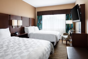 Studio Suite, Multiple Beds