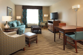 Standard Room, 1 King Bed, Accessible (Accessible Tub)