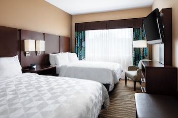 Studio Suite, Multiple Beds