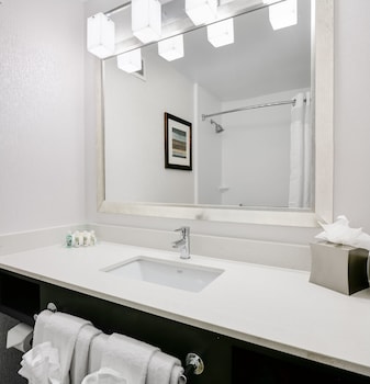 Studio Suite, Multiple Beds