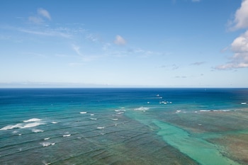 Penthouse, 1 King Bed, Oceanfront (Penthouse, Floor 28 to 31)