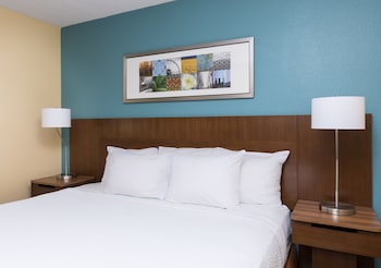 Room, 1 King Bed
